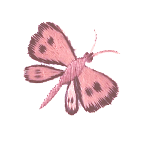 Illustrated collage of a golden retriever dog in the style of nature journal.