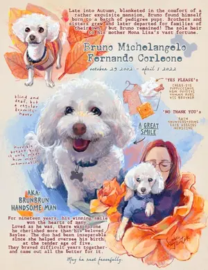 Illustrated collage of a golden retriever dog in the style of nature journal.