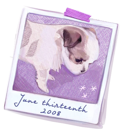 Happy golden retriever curiously looking up, illustration.